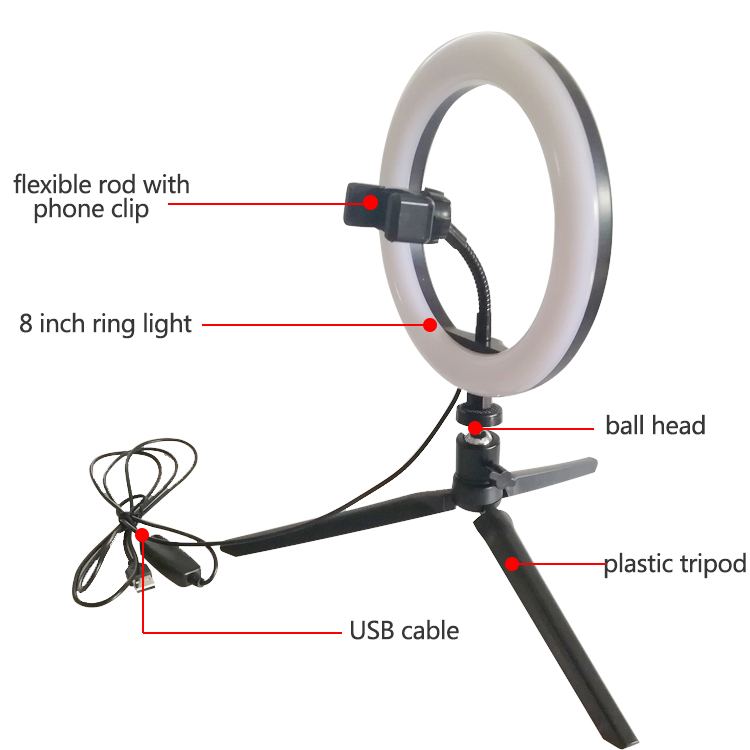 8" Ring Light