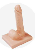Male Condom Demonstration Model