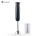 Buy high-power hand blender online