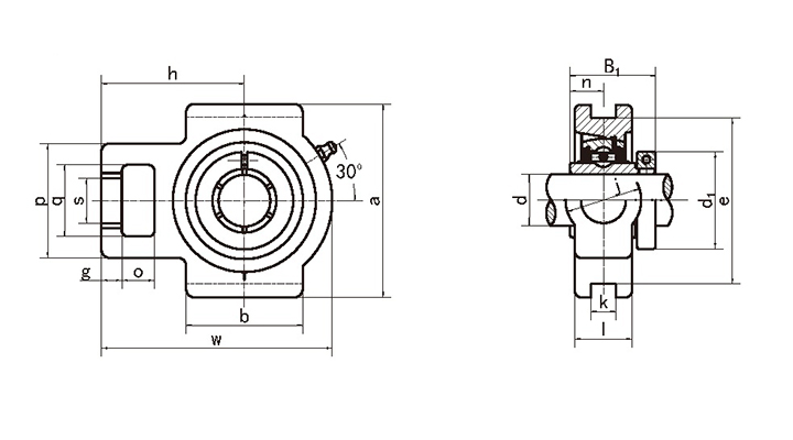 Bearing Units NCT200 Series