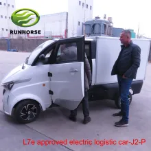 Electric Cargo Transportation Vehicles for Parcel/Food/Goods