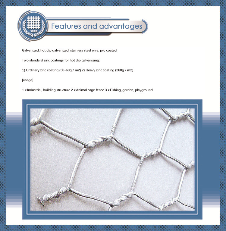 China High Grade Galvanized Hexagonal Wire Net