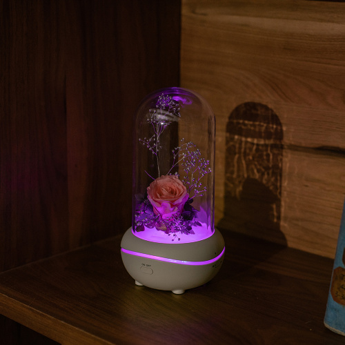 Fragrance lamp oil burner glass waterless aroma diffuser