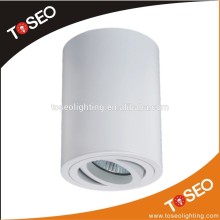 Adjustable surface mounted light