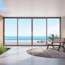 Modern Pull-out Door with Elegant Aluminum Finish