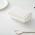 Eco-Friendly Sugarcane Bagasse Takeout Container with Hinged Lid