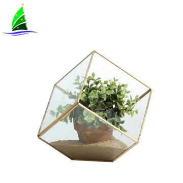 geometric glass cube plant terrariums