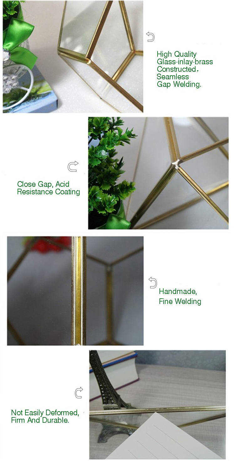 Rectangle indoor plant copper geometric terrarium decoration