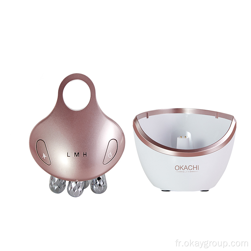 Massage visage de beauté portable de la peau