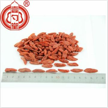 Dried Gou Qi Zi Goji Berries red fruit