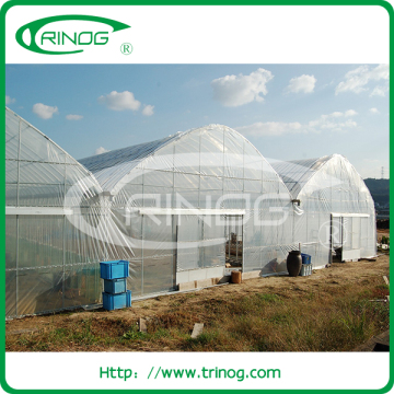 Multi span film coved greenhouse agriculture for growing