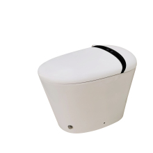 NEW Auto Flush One Piece Intelligent Bidet Toilet