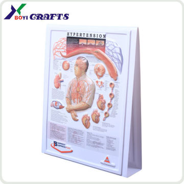 2014 Custom Made Embossed Medical Chart