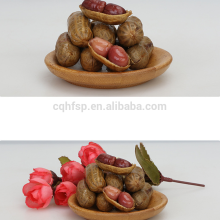 cheap wholesale nuts red skin peanuts food