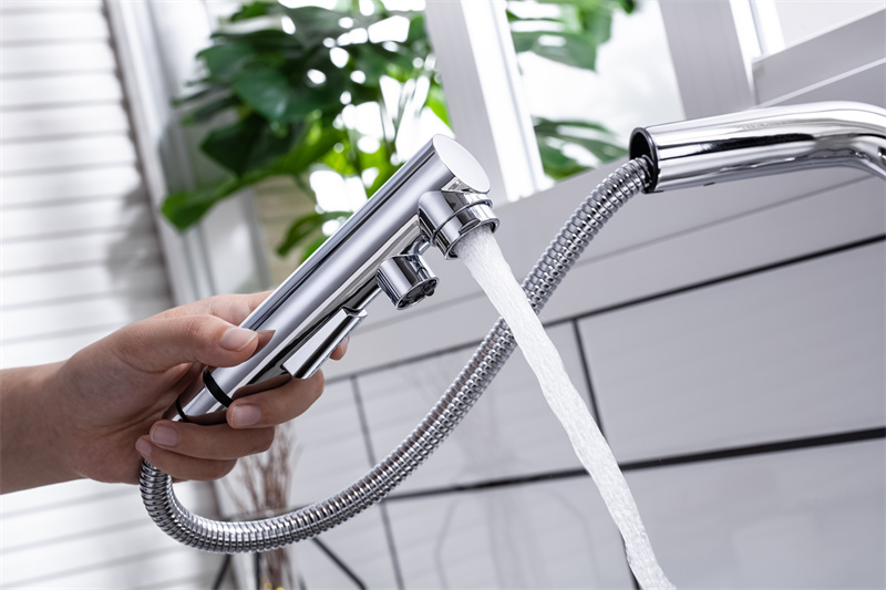 chrome pull out kitchen tap with double spout