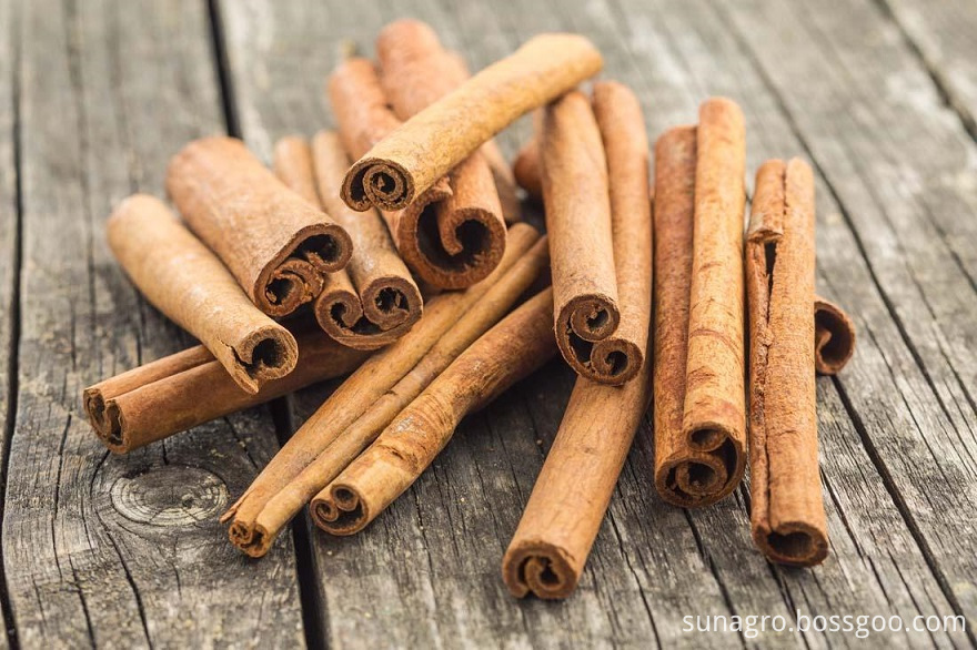 High Quality Pure Natural Cinnamon Powder