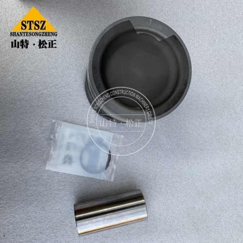 4VBE34RW3 Enjin Piston Kit 3803312