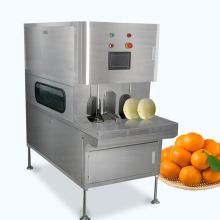 Professional Peeling Machines: Electric Apple Peelers, Commercial Fruit Peelers for Jackfruit and More