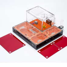 Magnetic Glass Cover Modular Ant Farm with Humidity Control