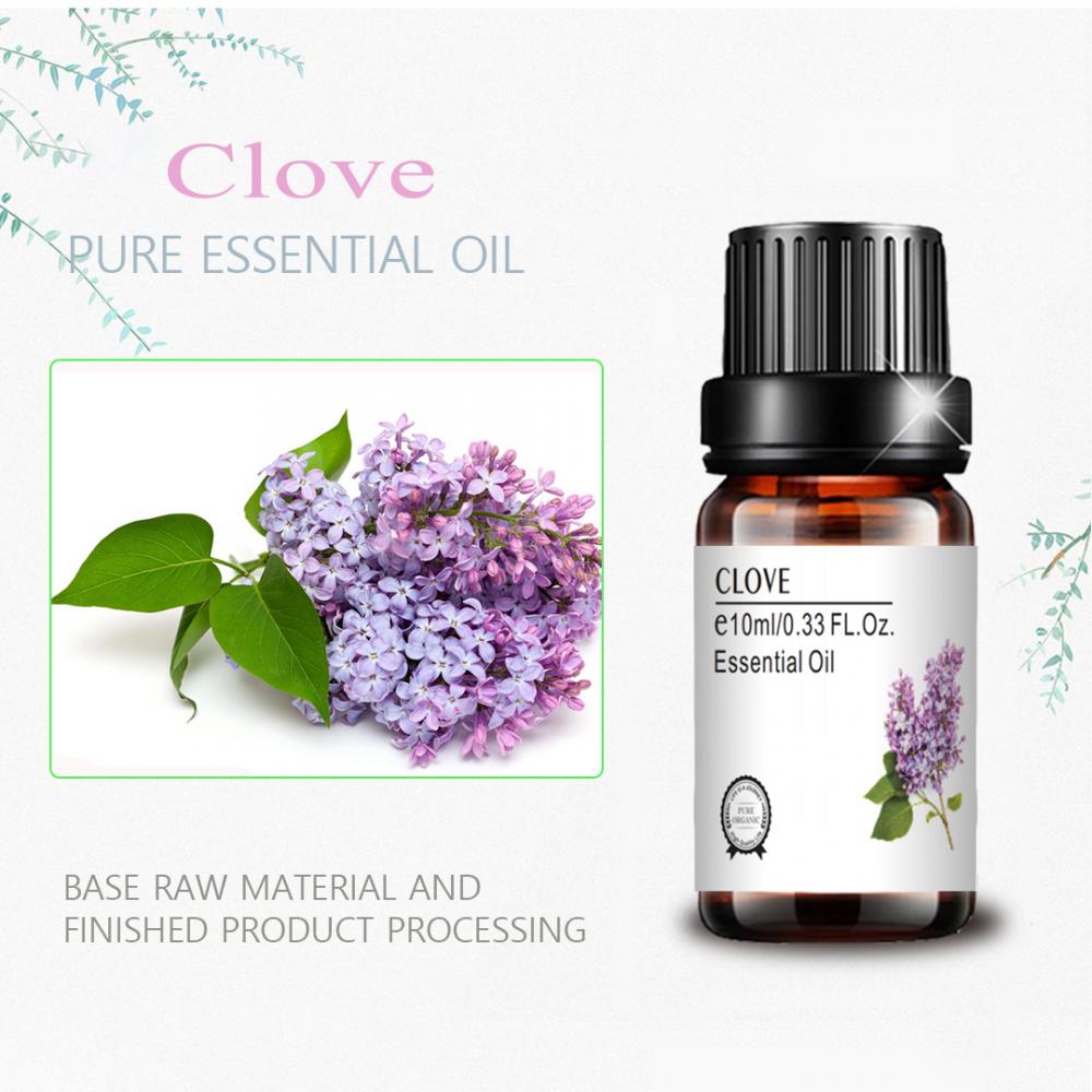 highest & quality 100% pure clove essential oil for massage