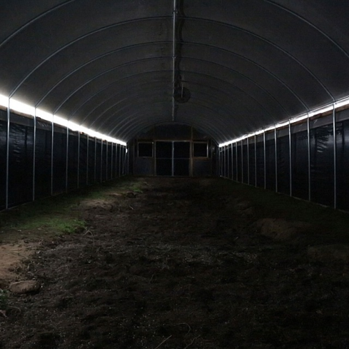 Agriculture Light Deprivation Blackout Greenhouse