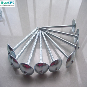 Roofing Nail Galvanized Umbrella Roofing Nail