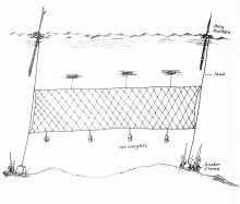 Nylon Multifilament Gill Net