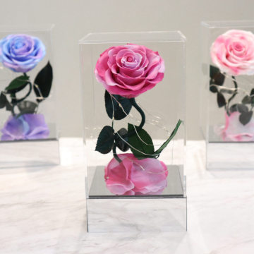 Natural Growing Rose Supplier: New Factory Acrylic Box Preserved Roses