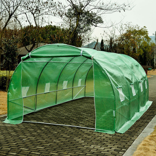 Mini-Túnel de Polytunnel com efeito de estufa