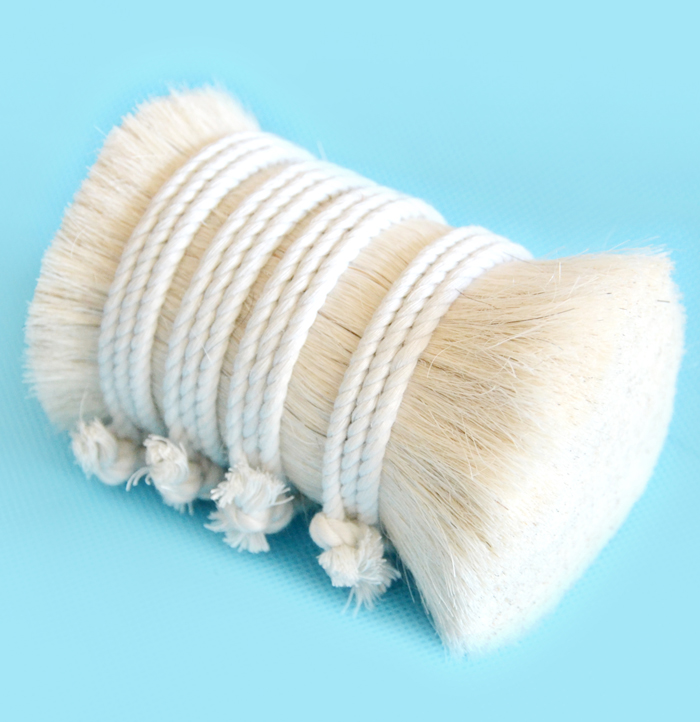 white horse hair