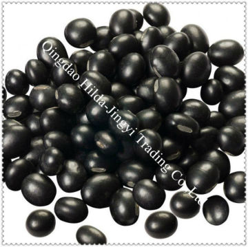 High Quality Natural Black Bean Hull Extract