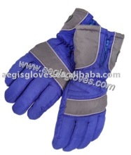 Ski gloves