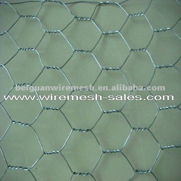 Cheap Wire Mesh-Hexagonal Wire Mesh(Good Quality)