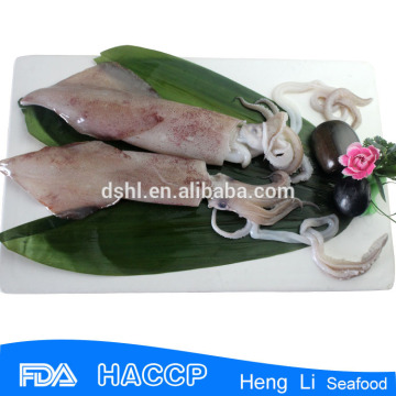 HL0088 delicious best quality illex wholeround
