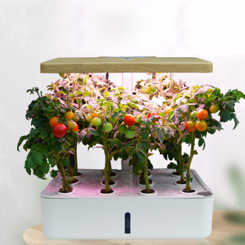 Mini desk indoor growing hydroponic system