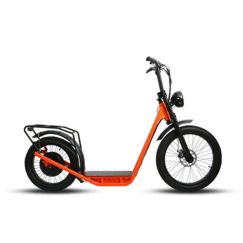 20inch 34 inch electric bike 48V 1000W