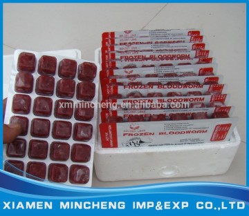 Frozen bloodworm