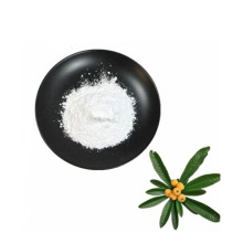 Ursolic Acid Powder Natural Plant Extracts CAS 77-52-1