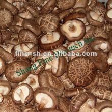 shiitake