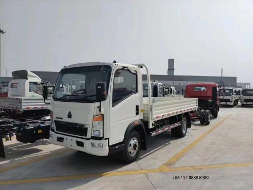 Howo mới 4x2 Rhd Cargo Lorry Van Truck