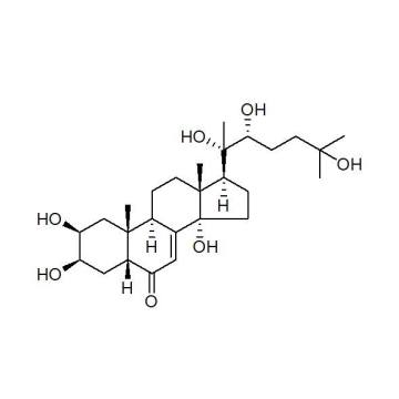 Ecdysone Extract 40% 50% 100% natural