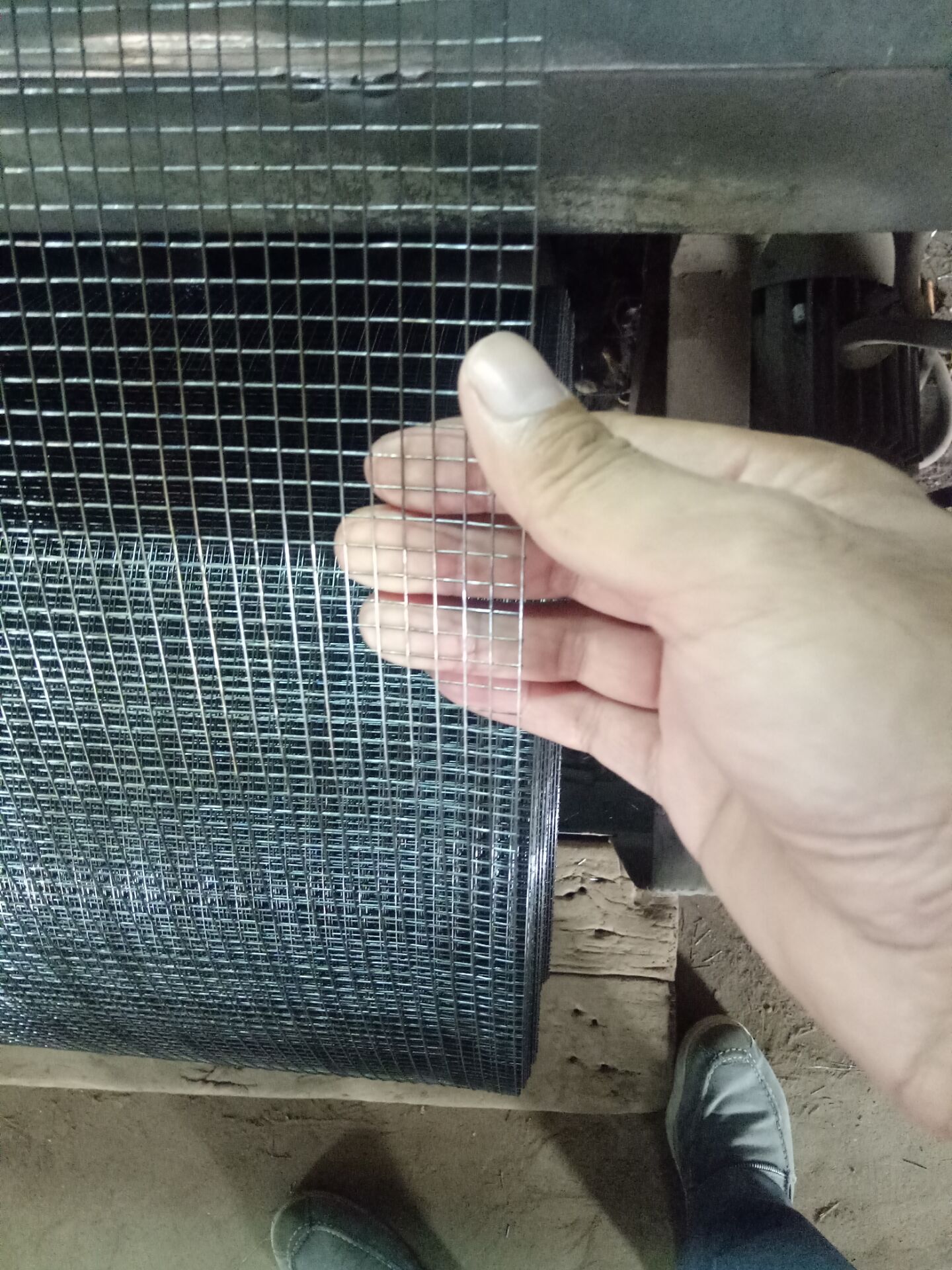 SS welded wire mesh 