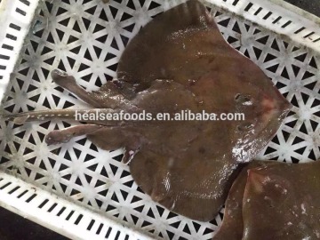 Ray/Skate Wings Fish for Sale