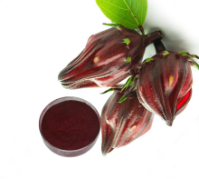 Hibiscus flower extract with many benefits