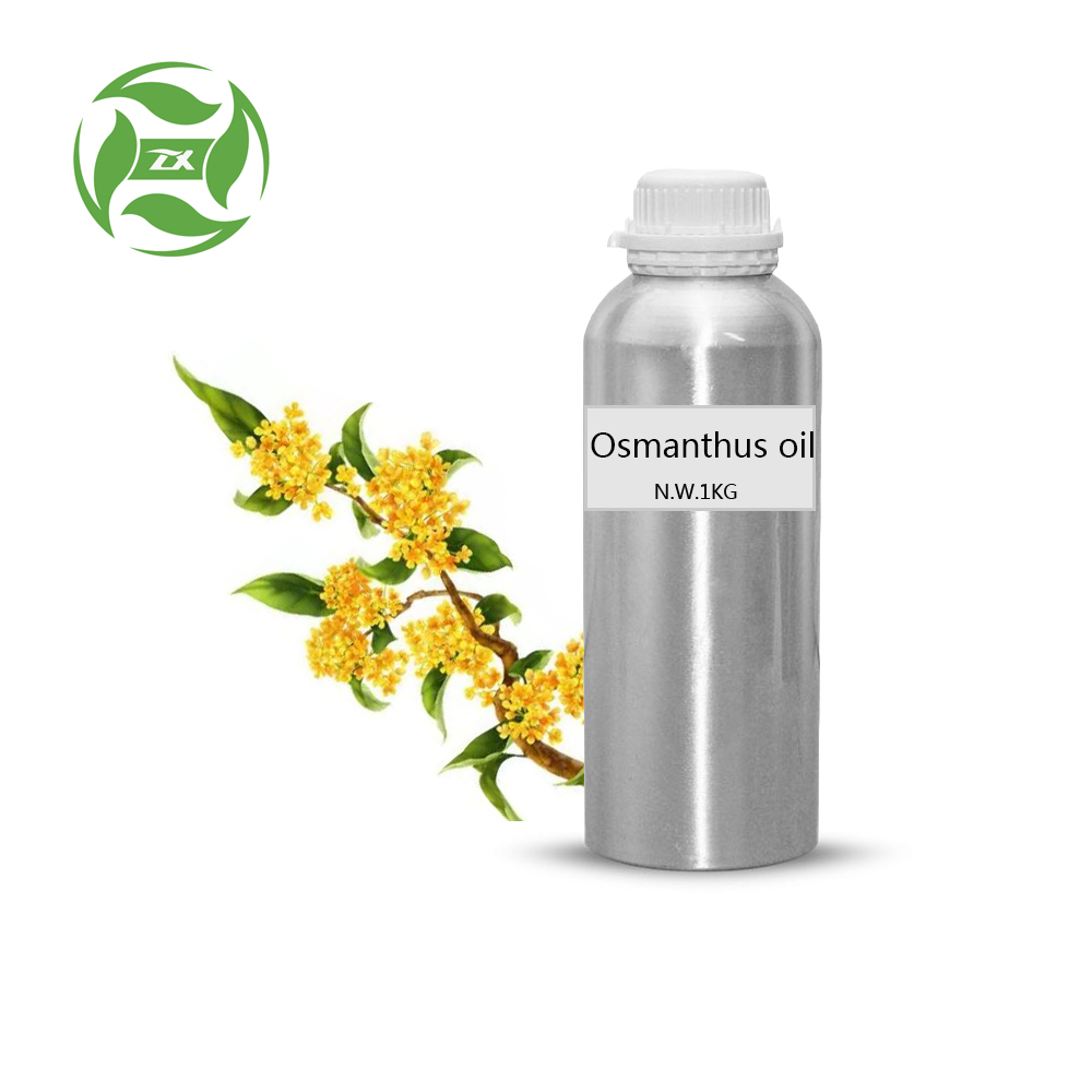 Pasokan Pabrik 100% Minyak Esensial Osmanthus Murni