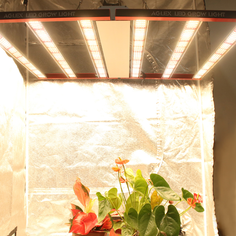 Shenzhen Grow Light 700W LED Grow Işık Çubuğu