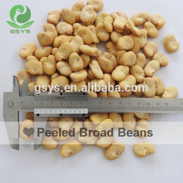 Peeled broad beans origin in Qinhai China 2015crop