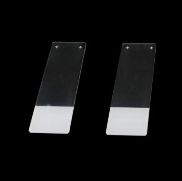 Prepared Laboratory Microscope Adhesive Slides