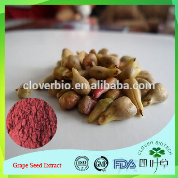 Organic Natural Grape Seed P.E. Extract Powder