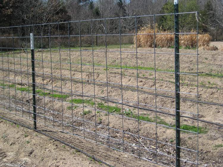 galvanized metal studded T post for farm fence